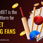 Why GullyBET is the Go-To Platform for Cricket Betting Fans - GullyBET India